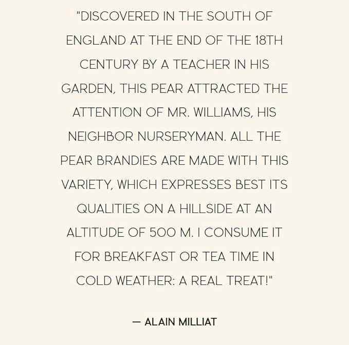 Alain Milliat Williams Pear Nectar 6.8 Fl Oz (Six 200ml Glass Bottles)