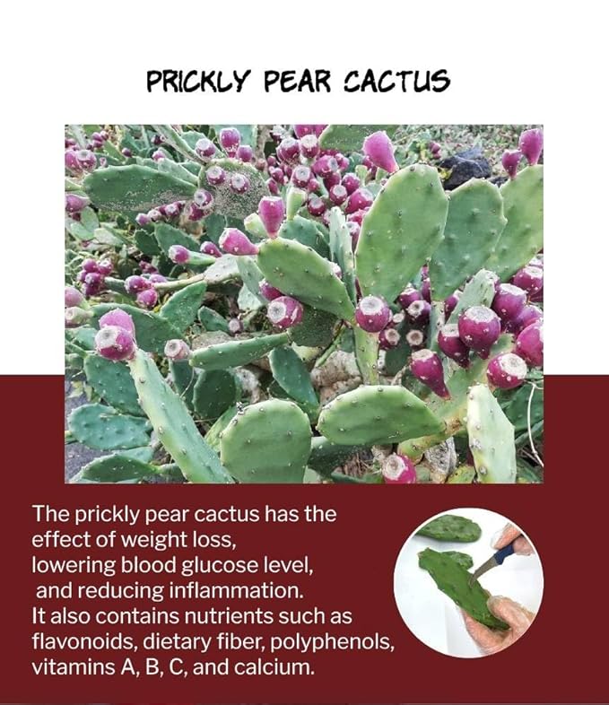 YoonSunAe Pomegranates Cactus Extract Drink 110ml/3.72fl.oz. X 30 Pouch Spanish Pomegranates Prickly Pear Cactus Nutritious Drink Made in Korea