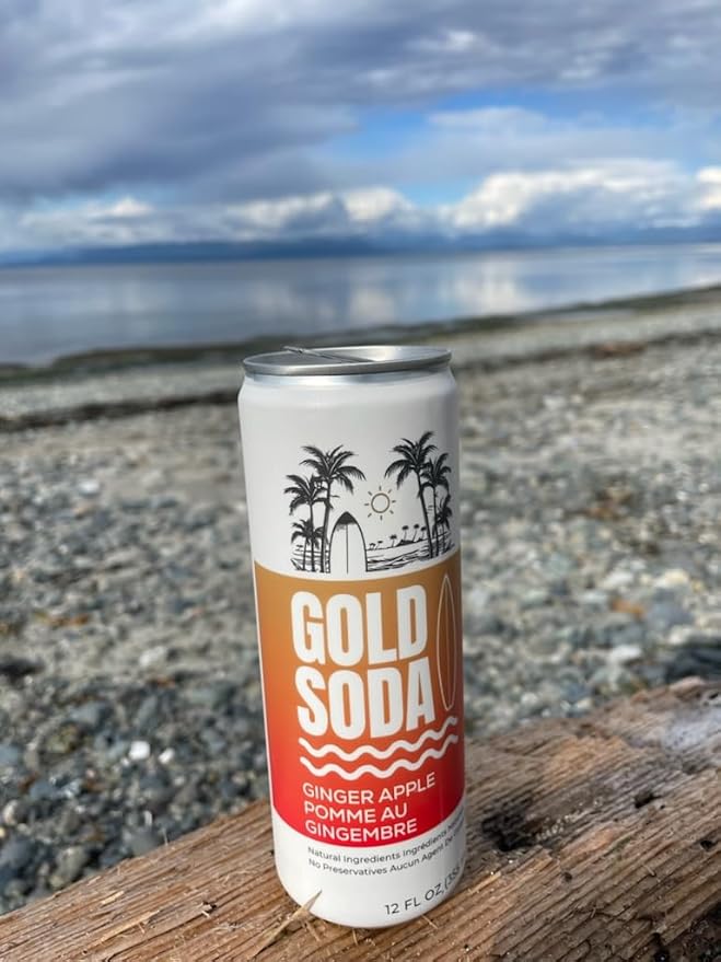 Gold Soda - Natural Ingredients - Organic Cane Sugar - Non-GMO - No Preservatives - Monk Fruit - Sparkling Water - Made with Natural and Organic Flavors12 Fl Oz (24 Pack) (24 Pack Ginger Apple)