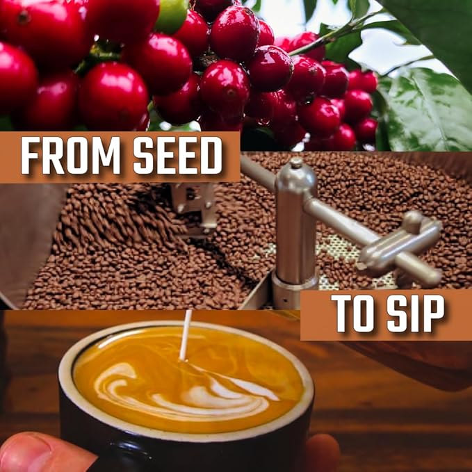 KONA EARTH 100% Kona Peaberry Coffee Medium Roast Whole Bean 1 lb (16oz) Farm-Direct Authentic Hawaiian Kona Coffee beans from Hawaii’s Big Island Micro-Batch-Roasted