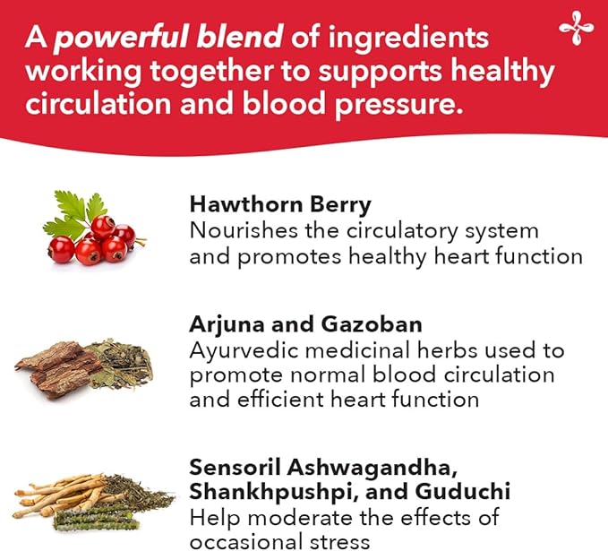 LifeSeasons B/P Stabili-T - Blood Pressure Support - Vitamin Supplement for Healthy Heart &amp Circulation - Ashwagandha Arjuna &amp Hawthorn Berry - 240 Capsules