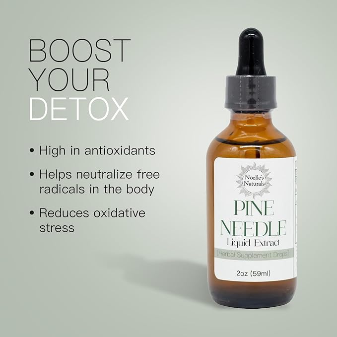 Noelle's Naturals Pine Needle Extract Tincture - Wildcrafted Eastern White Pine Needles Organic High Shikimic Acid Vitamin C &amp Antioxidants - Immune Support Drops 2 fl oz