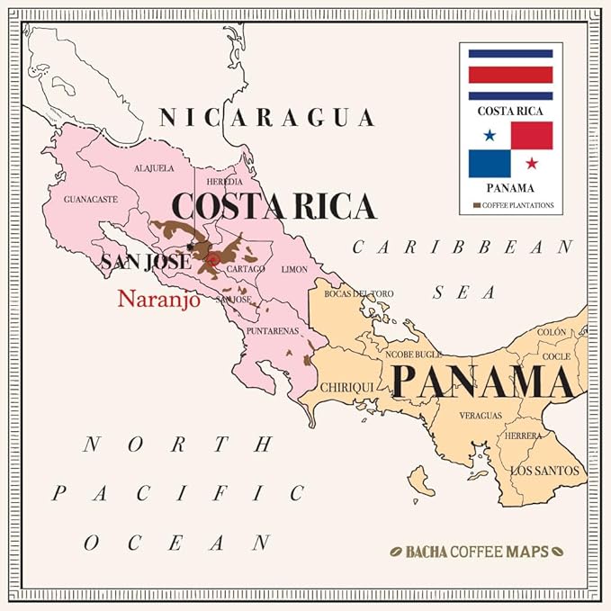 Bacha Coffee | Naranjo Mountain Costa Rica Single Origin Medium Dark Roast 100% Arabica Specialty Coffee 12 Coffee Drip Bags Gift Box