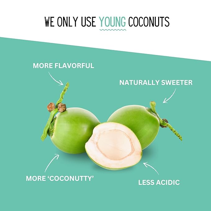 Little Palm - Pure Coconut Water Made from Young Coconuts No Sugar Added Non-GMO Natural Hydration Electrolytes 16.9 fl oz (24-Pack Original)