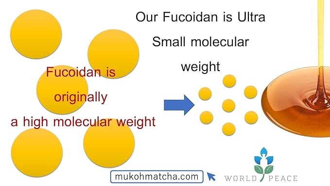 Sweetened [Ultra Low Molecular Weight Fucoidan Beverage] Made in Japan Brown Seaweed Mozuku Juice