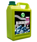 Possmei Blueberry Flavored Syrup 5.5 Pound Plastic Jar 1 Pack