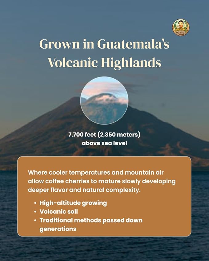 VIA Guatemala Coffee – Guatemala Medium Roast Ground Coffee Single-Origin Arabica Mayan Warrior 16 oz