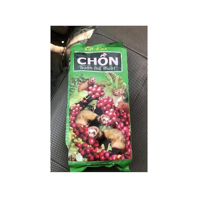 Chon Buon Me Thuot Vietnamese Weasel Civet Cat Coffee Premium Robusta 500g Green