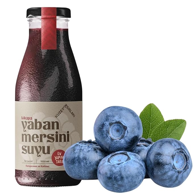 Natural Blueberry Juice Organic Additive-Free Authentic Turkish Product 1000 ml/33.8 fl oz