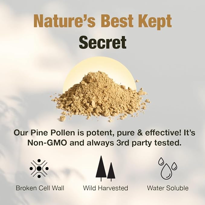 Samsara Herbs Pine Pollen Powder Wild Harvested - 99% Cracked Cell Wall (16oz/454g) Supports Healthy Energy &amp Longevity