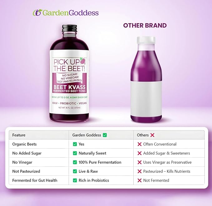 Garden Goddess Organic Raw Probiotic Beet Juice Kvass 2 oz Bottles 24 Pack Sugar-Free Gut Health Drink