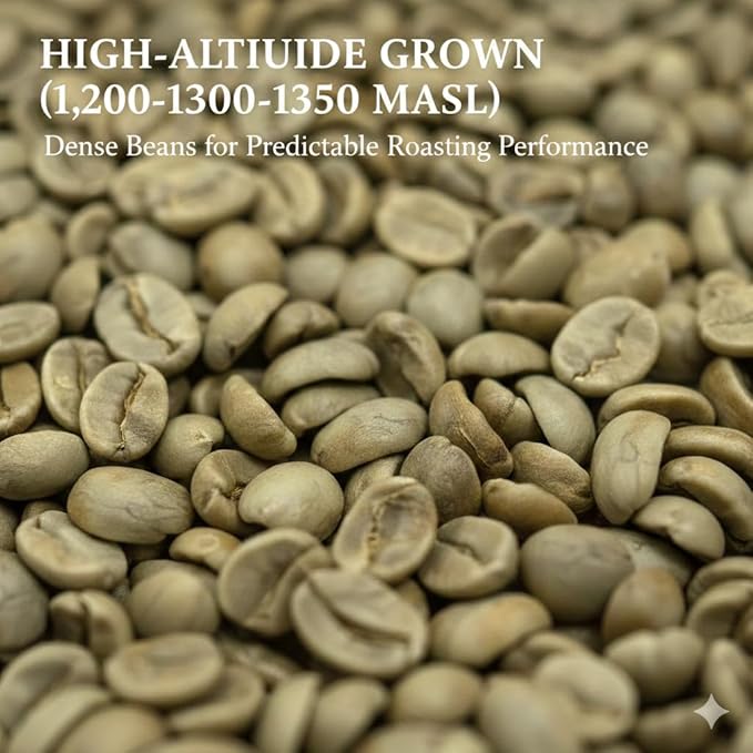 Current Crop Roasting Shop India Mysore Nuggets Green Coffee Beans – Unroasted Arabica for Home Roasting – Chikmagalur Single Origin Washed Process 10-Pound Bag
