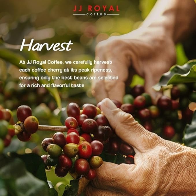 JJ Royal Coffee Flores Arabica 200g Ground Coffee (Pack of 2)