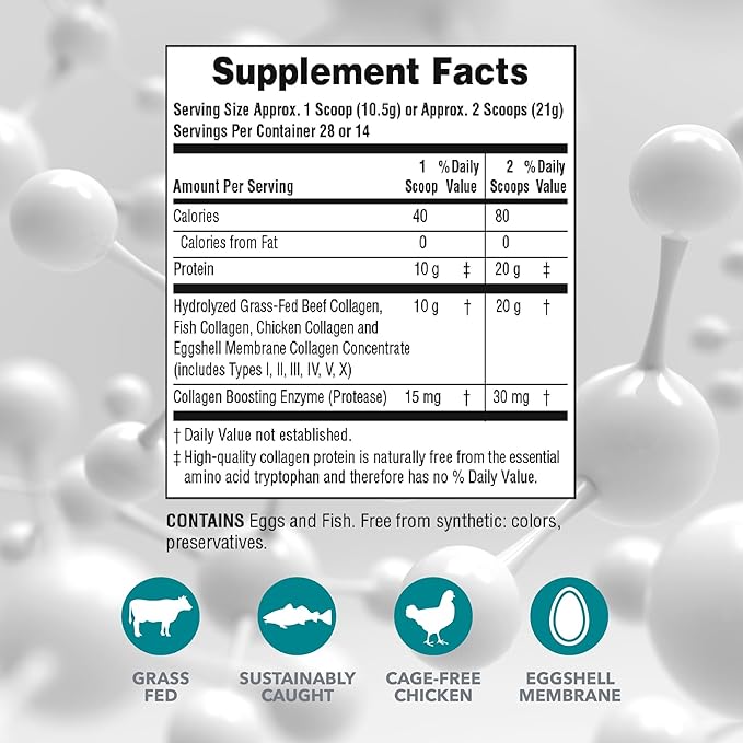 NaturesPlus Collagen Peptides - 0.65 lbs Powder Pack of 2 - Hair Skin Nail &amp Joint Health Immune System Support - Non-GMO Gluten Free - Up to 56 Total Servings