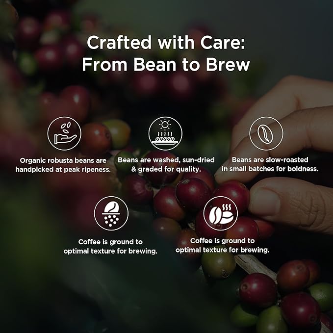 Pure &amp Sure Bold Organic Coffee Powder | Natural Ground Coffee Medium Roast | Robusta Coffee with Chicory | Ready to Use No Preservative Non-GMO | 200gm