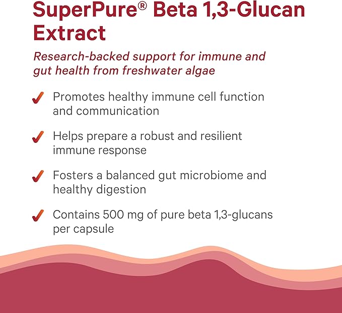 PURE SYNERGY SuperPure Beta 13-Glucan Extract | 500 mg Beta 13-Glucan Supplement from Algae | Yeast-Free Non-GMO Standardized Extract | Supports Immune Health &amp Digestion (60 Capsules)