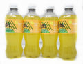 Fruit Flavored Sparkling Soda Pop Soft Drink 20oz Plastic Bottles (4pack Pineapple)