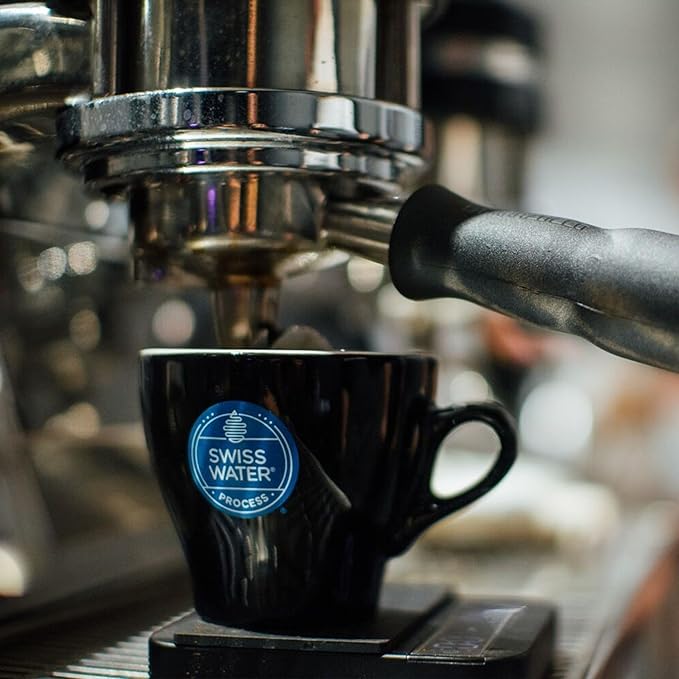 Verena Street 5 Pound Flavored Whole Bean Swiss Water Process Decaf Mississippi Grogg Decaffeinated Medium Roast Rainforest Alliance Certified Arabica Coffee