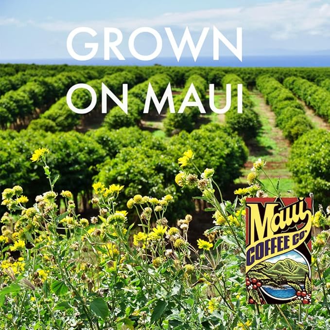 Maui Coffee Company 100% Maui Coffee Ground Maui Grown Dark Roasted in Hawaii 7 oz. Bag