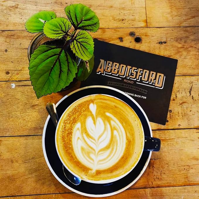 Abbotsford Road - Specialty Coffee Variety Pack Espresso Gourmet Roasted Coffee Beans Ideal for Cold Brew Drip Aeropress Pour Over or Percolator Includes Two 12oz Bags (Forza | Nero Ground)