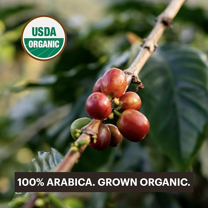 G GRANA Coffee Pods Compatible with Nespresso OriginalLine 60 Count Medium and Dark Roast Espresso USDA Organic 100% Arabica Single Source Specialty Coffee Compostable Capsules Variety Pack