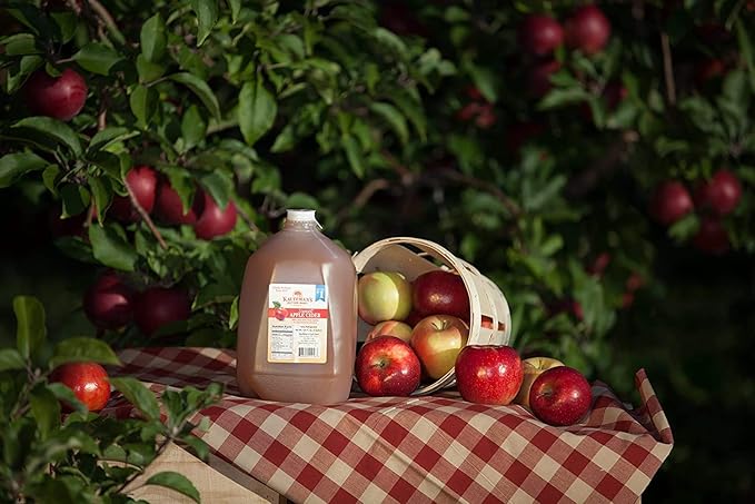 Kauffman's Fruit Farm Orchards Homemade Fresh-Pressed Apple Cider Frozen for Shipping 0.9 Gallon (Pack of 4)