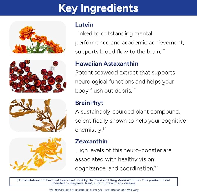 Gundry MD Power Phenols Brain Health Supplement for Cognition Focus Motivation Productivity and Energy - (30 Servings)