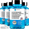 Liposomal Nicotinamide Riboside NR Supplement Resveratrol NAD : Nicotinamide 500mg w/Fisetin Resveratrol Powder Spermidine Berberine NAD Resveratrol Supplement 500 mg - 60 caps 4 Pack
