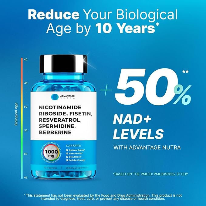Liposomal Nicotinamide Riboside NR Supplement Resveratrol NAD : Nicotinamide 500mg w/Fisetin Resveratrol Powder Spermidine Berberine NAD Resveratrol Supplement 500 mg - 60 caps 1 Pack