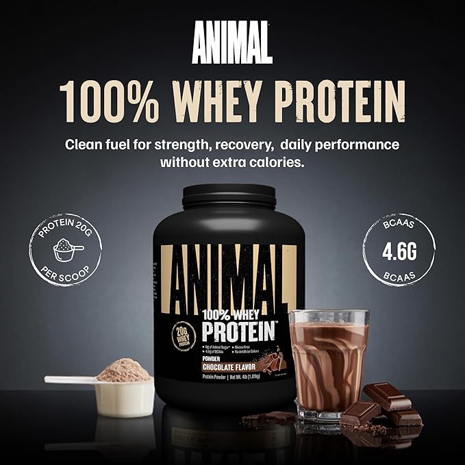 Animal 100% Whey Protein Powder – Whey Blend for Pre Workout or Post Workout Recovery or an Anytime Low Sugar Protein Boost Meal Replacement with BCAA Branched Chain Amino Acids – Chocolate 4 lb