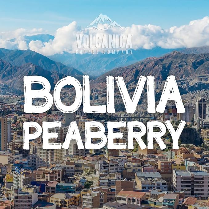 Bolivia Peaberry Coffee Caranavari Ground Fresh Roasted 16-ounce