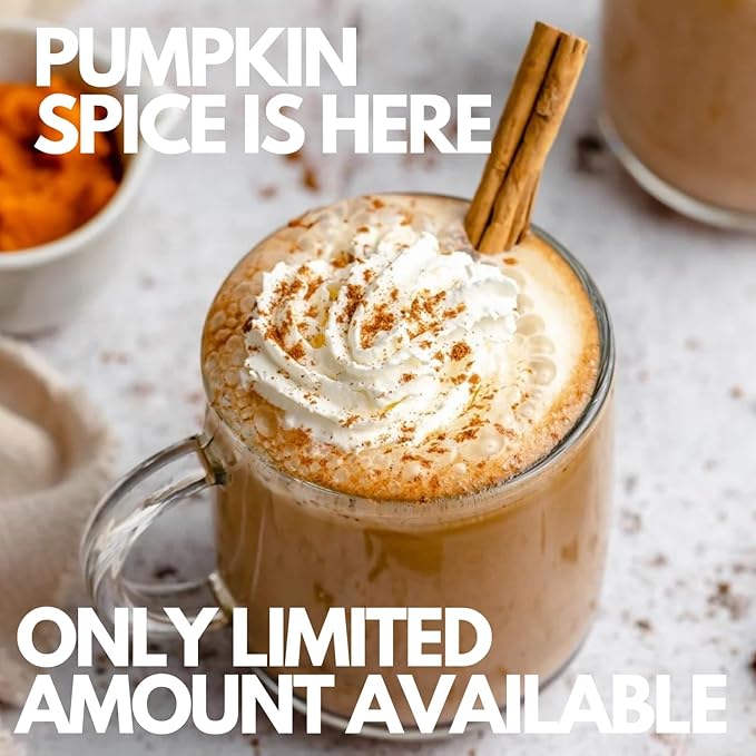 Sarasota Coffee Ground Packets | Gourmet Flavored Medium Roast Grounds Packs | Pumpkin Spice Latte | Low Acid Mold Free Bulk Individual Single Pot Pouches for 12 Cup Coffee Maker | 2 oz Bags 12 Count