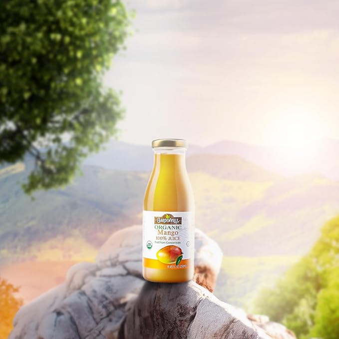 Gardenville Organic Mango Juice (Pack of 12) USDA Organic No Added Sugar U Kosher Certified Pasteurized 8.4 oz Glass Bottles (Mango)