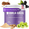 Amla Powder &amp Immunity Blend Superfood Supplement with Elderberry 20x Ultra Concentrated Amla Immune Support Made with Ginger Cinnamon Peppermint Indian Gooseberries Immunity 90 Servings