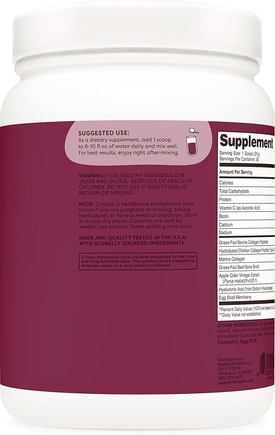 Wellah The Afterglow Multi Collagen Protein + Beauty (Dark Chocolate Flavored) 30 Servings