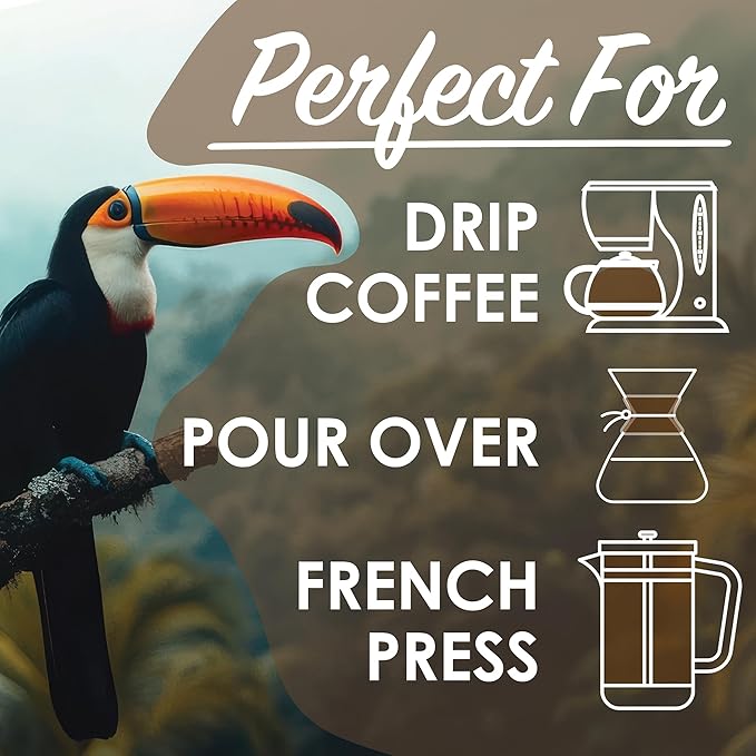 Magnum Exotics Rainforest Blend Whole Bean Coffee - Coffee Beans Medium Dark Roast Caffeinated Roasted Bulk Brew Rich &amp Smooth Flavor Fresh Roast - 32 oz (2 lb) Bag