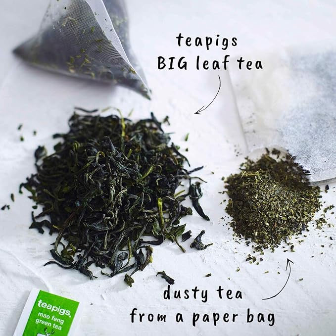 teapigs Mao Feng Green Tea 15 Count (Pack of 6)