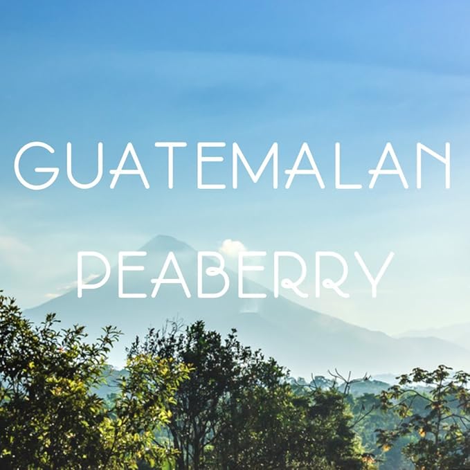 Guatemala Peaberry Coffee Ground Antigua Medium Roast Single Origin 16-ounce