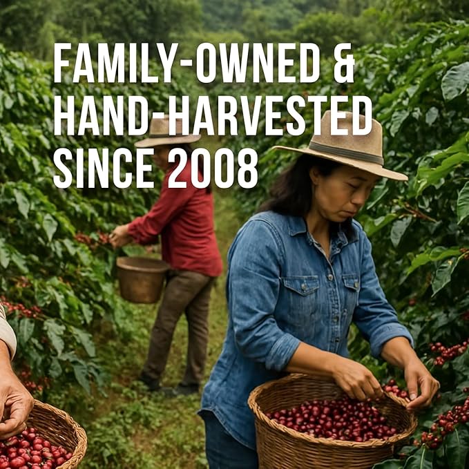Don Memo Premium Ground Coffee – Single Pack – 2 lb Bag – Dark Roast – 100% Arabica from Honduras – Single Origin – Fresh Roasted &amp Ready to Brew – Family-Owned &amp Ethical