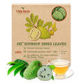 VIDA FARM Premium Dried Soursop Leaves Tea 100% Natural Whole Guanabana Leaves Hojas de Guanabana Para Te Soursop Tea Leaves