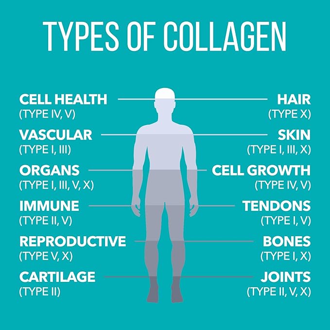 NaturesPlus Collagen Peptides Vanilla - 0.8 lb Powder Pack of 2 - Hair Skin Nail &amp Joint Health Immune System Support - Non-GMO Gluten Free - 28 Total Servings