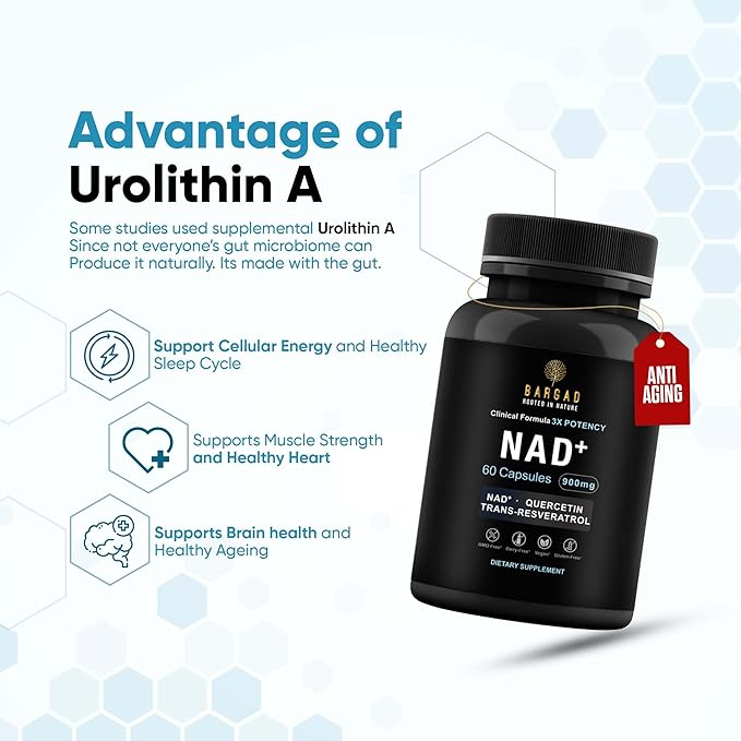 NAD+ Supplement for Anti Aging &amp Cell Regeneration | NMN Supplement Alternative - NAD with Resveratrol &amp Quercetin | Boosts Mitochondrial Health Mental Clarity &amp Vitality | 60 Count | for