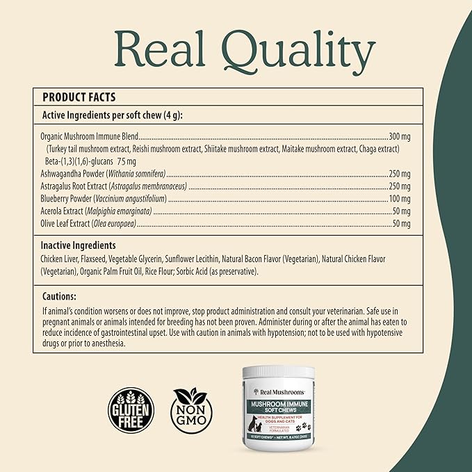 Real Mushroom Immune Pet Chews – For Daily Digestive &amp Immune Health – Mushrooms for Dogs &amp Cats Functional Treat – Mushroom Supplement for Dogs &amp Cats – 1 to 4 Chews For All Breeds &amp
