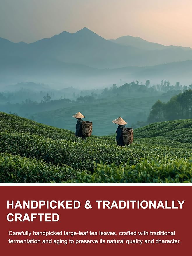 TeeLux Decaf Pu erh Tea Loose Leaf Naturally Aged Yunnan Decaffeinated Ripe Pu erh Tea Smooth &amp Mellow Flavor 16oz
