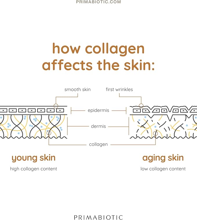 PRIMABIOTIC Liquid Collagen Sport- High Collagen Content [10000 Mg] Per Serving - Hydrolyzed Collagen Drink and 12 Vitamins Orthosilicic Acid | Helps Bone Health Hair Nails | (30 Bottles x 30 ML)