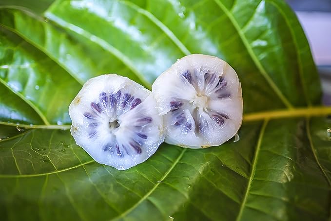 Wailua River Noni Juice (1)