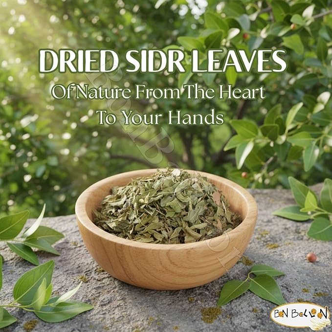 Wholesale Seder Sidr Dried Broken Leaves Leaf ( Lote Tree Jujube Ziziphus Spina Christi Christ Golchin Lotus ) Natural Herbs For Hair And Care Body No Preservatives Non Gmo Halal Kosher (15 oz / 425