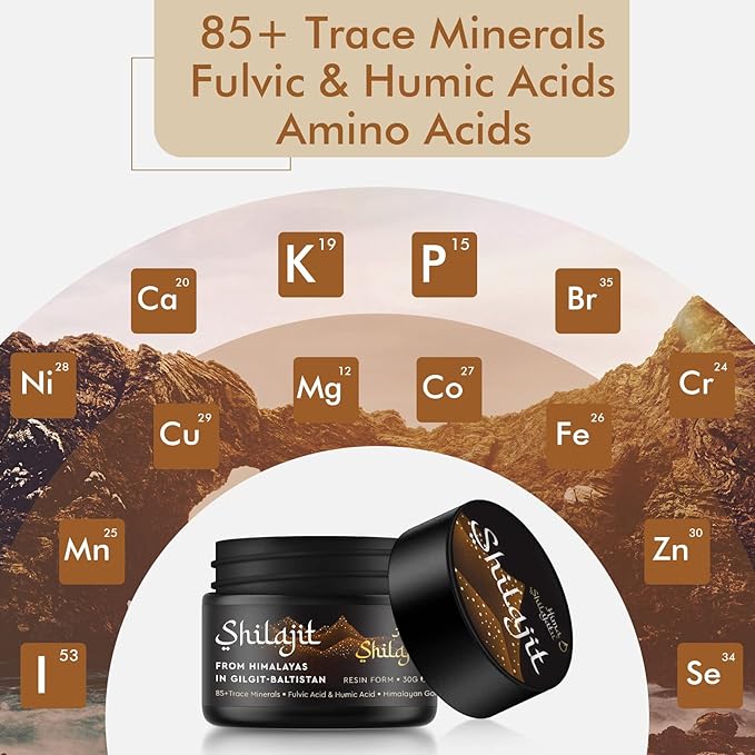Shilajit Pure Himalayan Organic Shilajit Resin - Gold Grade 100% Purity Shilajit with Fulvic Acid &amp 85+ Trace Minerals Complex for Energy &amp Immune Support Pack of 2 (4 Months Supply)