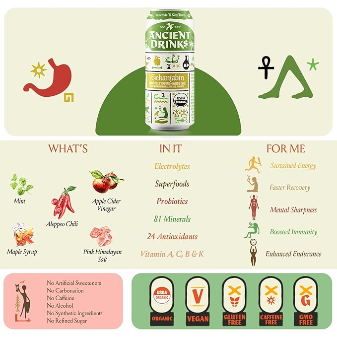 ANCIENT DRINKS Sekanjabin Apple Cider Vinegar Hydration Drink – Organic Electrolyte ACV Beverage with Probiotics – Ancient Persian Inspired Mint &amp Honey Vinegar Drink – 16 oz Cans 12 Pack