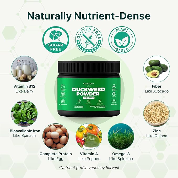 VINATURA Duckweed Powder - Duckweed Supplement Superfood Digestive Health Fiber-Superfood Powder of Wolffia Globosa